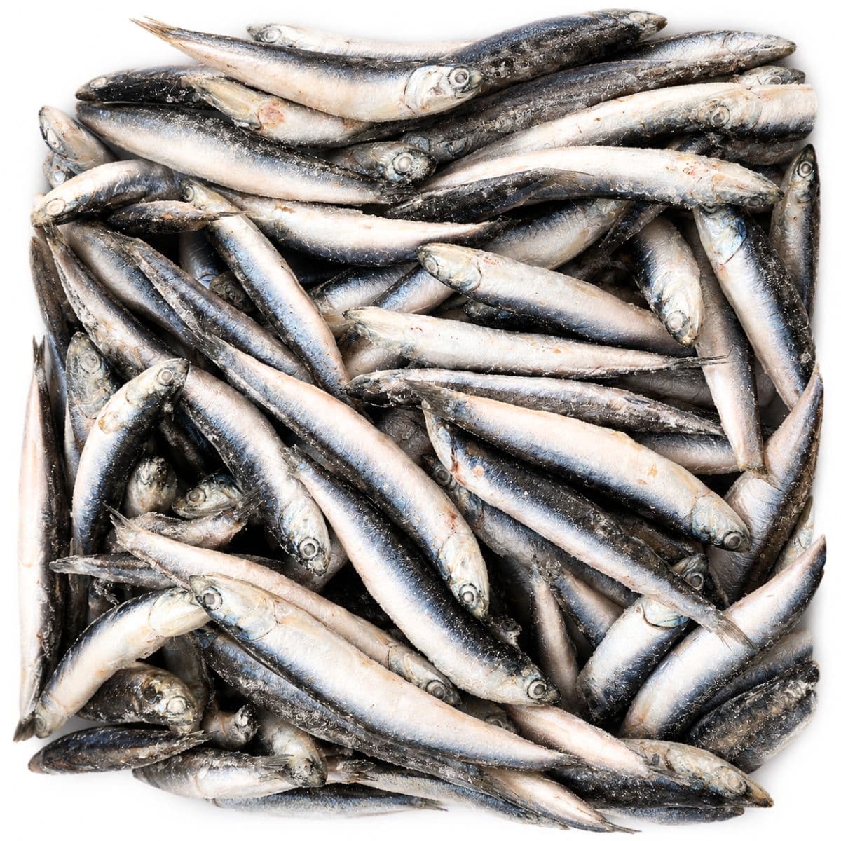 Alici Congelate