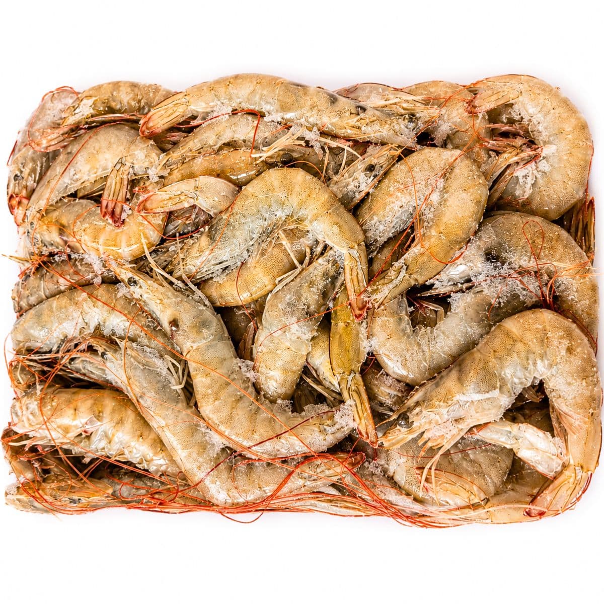 Gamberi Congelati