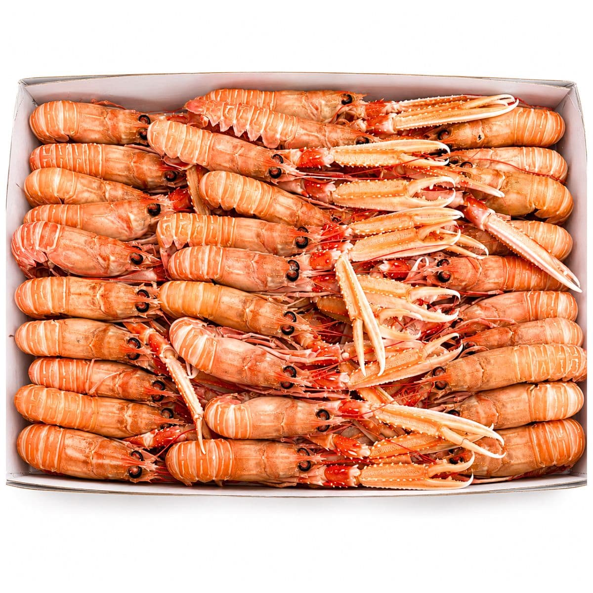 Scampi Congelati